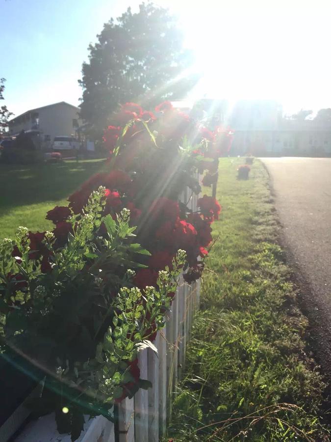 Fair Isle Motel Charlottetown Zewnętrze zdjęcie