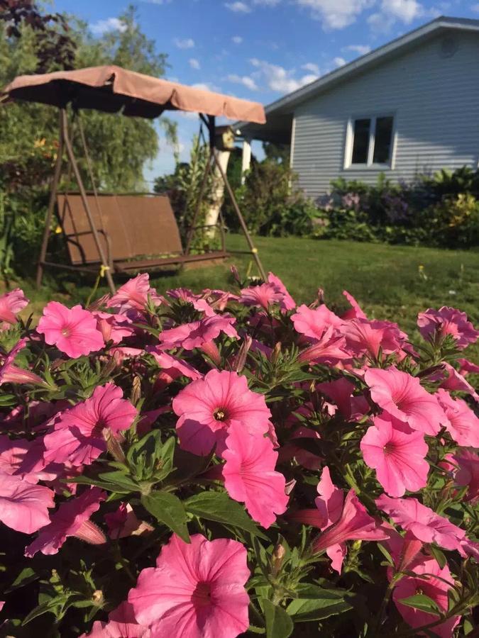 Fair Isle Motel Charlottetown Zewnętrze zdjęcie